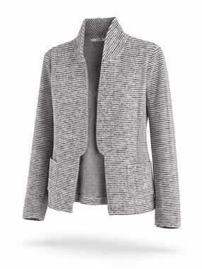 Striped Gray Blazer